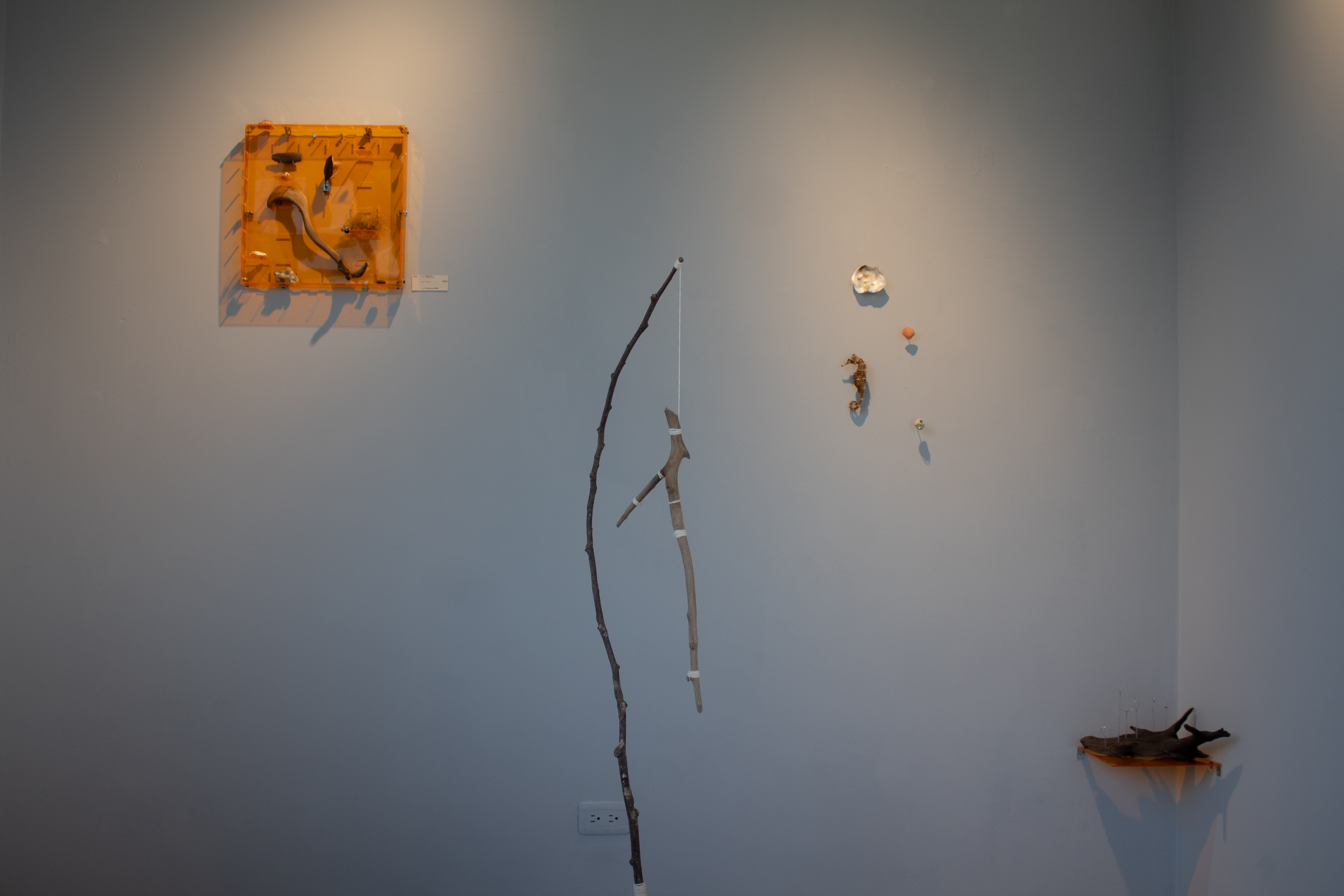 Montaje general de la exposición.